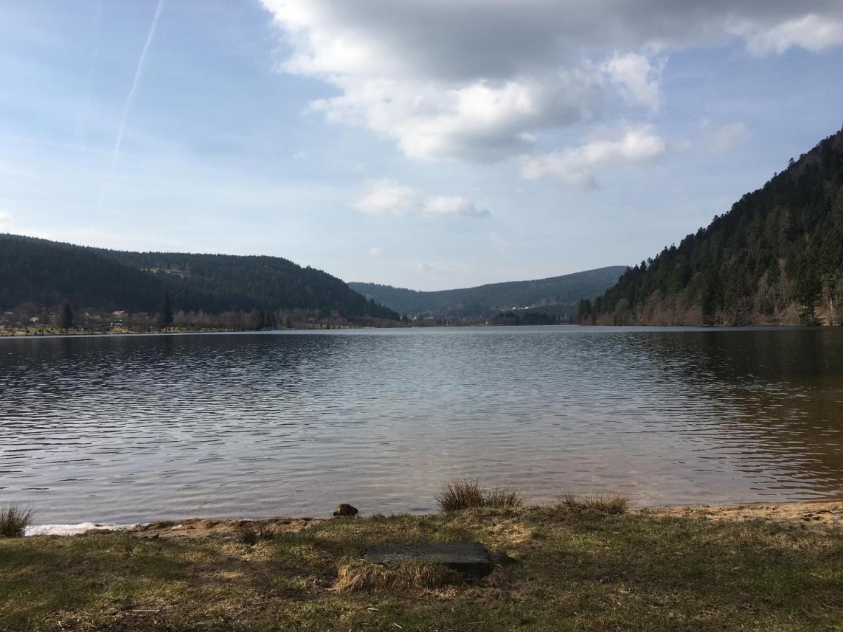 Maison La Deviniere - Sauna Et Spa Compris Accessibles Toute L'Annee Xonrupt-Longemer Exteriör bild